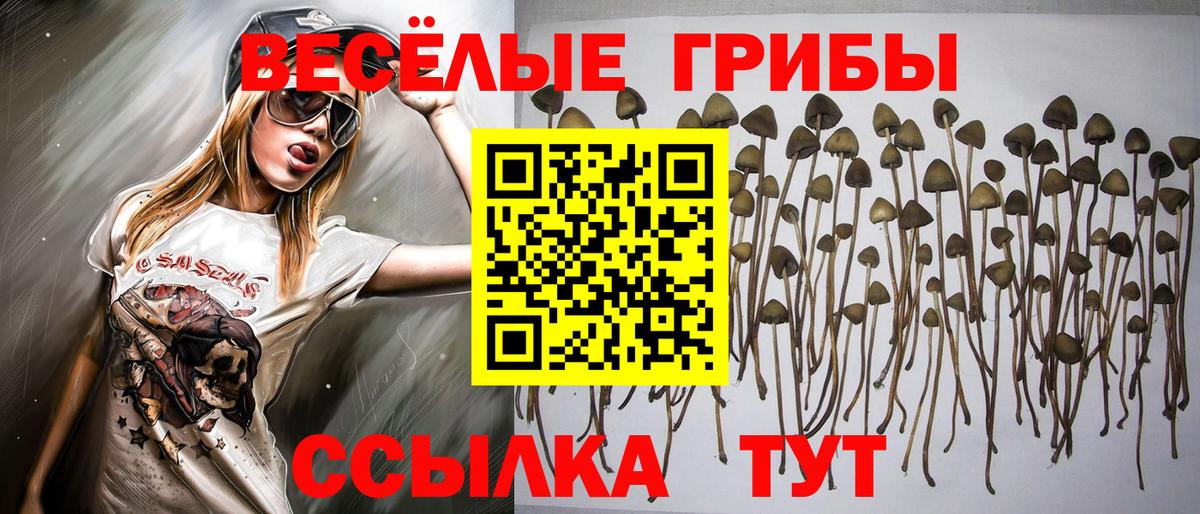 Псилоцибиновые грибы Cubensis Верхний Уфалей