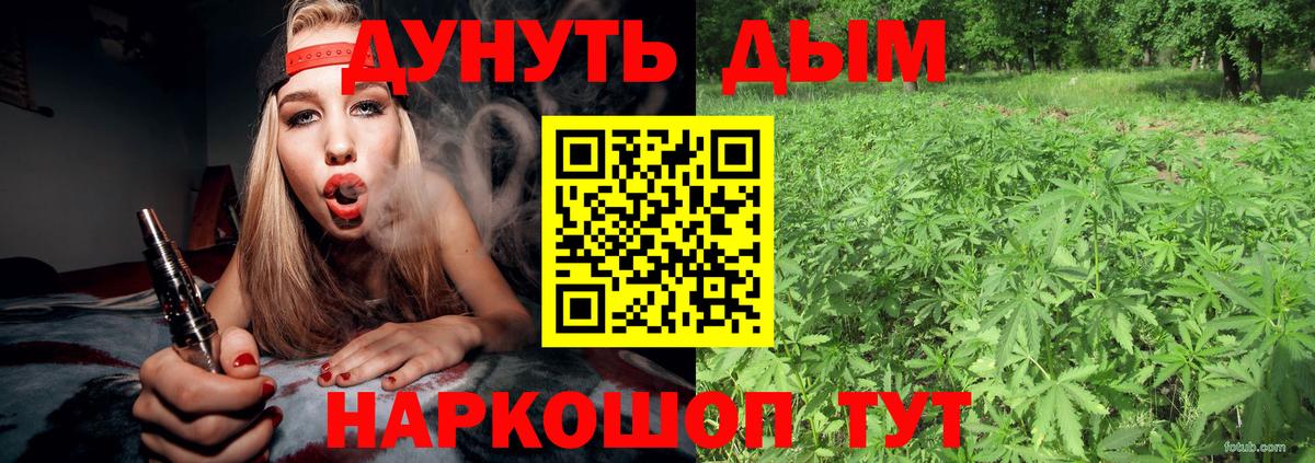 Бошки Шишки SATIVA & INDICA  Вход с VPN  Верхний Уфалей  Бошки Шишки Amnesia 